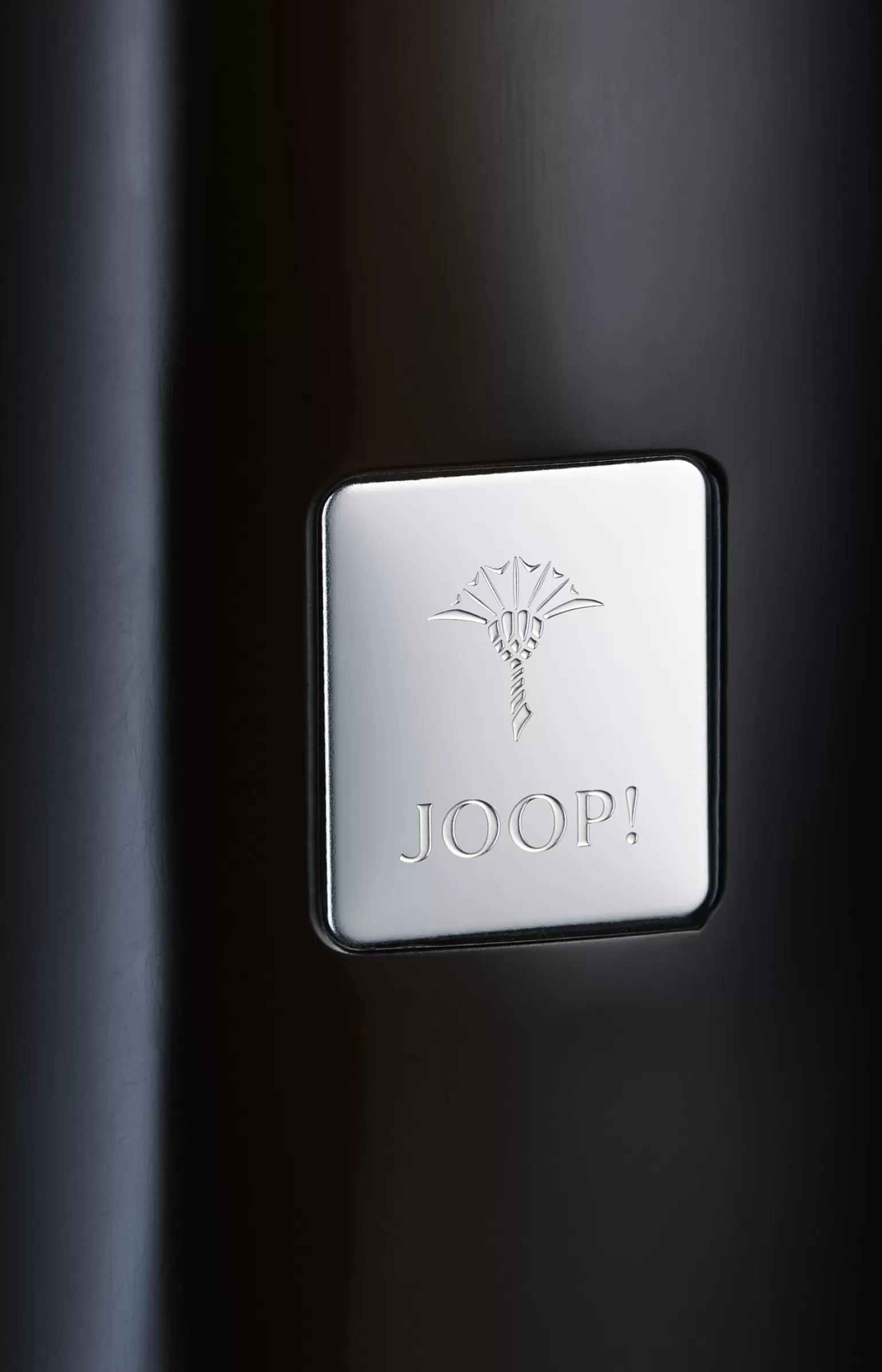 JOOP Freistehende WC-Bürstengarnitur Crystal Line in Anthrazit^ Bad-Accessoires